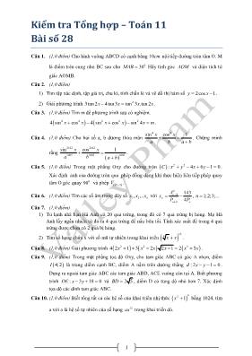 Kiểm tra Tổng hợp  Toán 11 Bài số 28